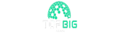 ones.topbignews.com
